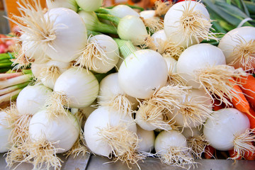 Spicy fresh spring onions