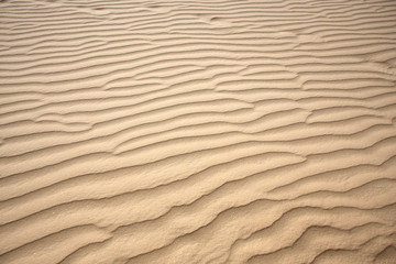 Dune