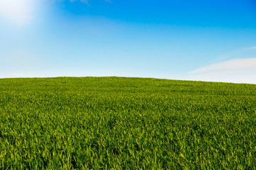 Landsacape of green hills and blue sky