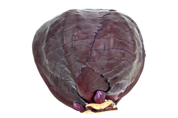 Red cabbage