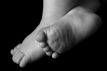 Fototapeta premium ten little toes