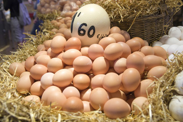 A lot of eggs in something like a straw nest
