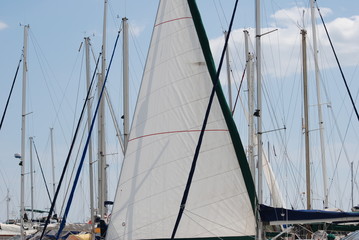 Fototapeta premium voile