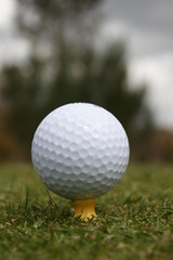 golf ball on the tee