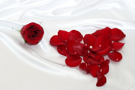 Red Heart over white silk