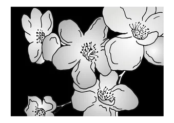 Papier Peint photo Fleurs noir et blanc Fleurs de fond de vecteur gris sur fond noir