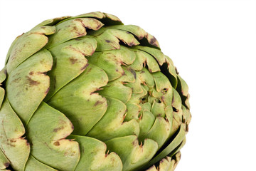 Obraz premium Globe Artichoke