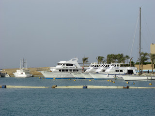Fototapeta premium Hafen bei Marsa Alam