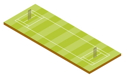 Cricket Pitch - Isometric View
