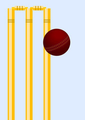 Cricket ball in play