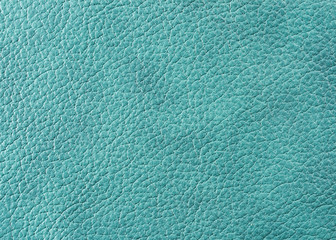 Obraz na płótnie Canvas Natural leather texture