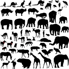 Fototapeta premium Lots of Animal vector silhouettes