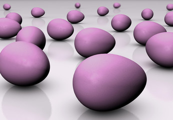 Eier