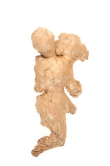 Root ginger figure