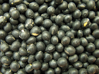 Black soya beans soybeans