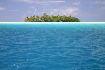 Lovely Island Rangiroa.