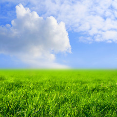 Fototapeta na wymiar sky grass field