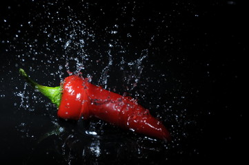 chili splash