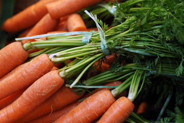 carottes
