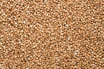 Buckwheat