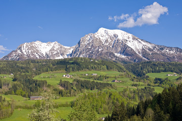 alpine landscape in the springtime