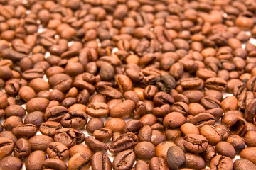 coffee beans on white background