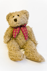 typical teddy bear on white background