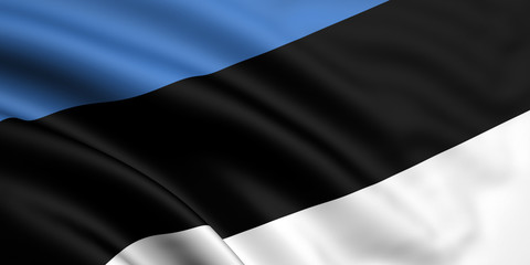 Flag Of Estonia
