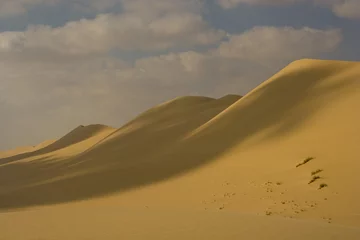 Türaufkleber dune de sable © Ayman Khoury