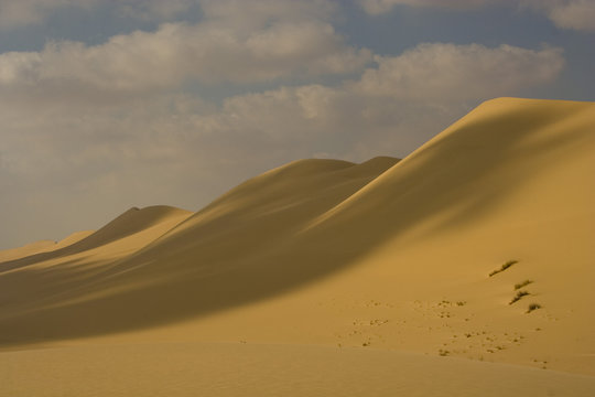 dune de sable