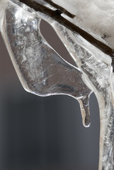 Abstract close up of Icicles