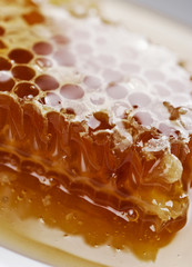 honey comb