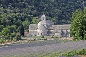 Abbaye Notre-Dame de Senanque in der Provence.
