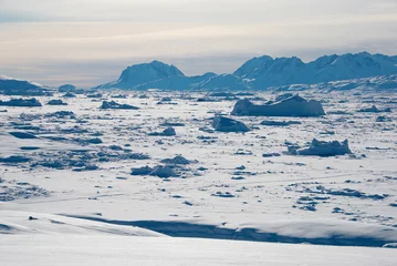 Deurstickers IJsveld in Groenland © Anouk Stricher