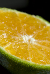 Close up of a Slice of Tangerine
