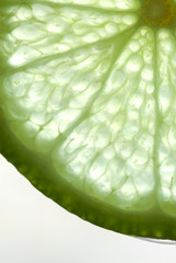 Close up of a Slice of Lime