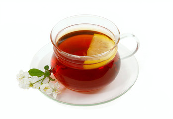  cup of tea with lemon isolated on white