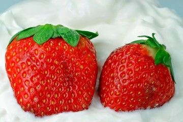 Strawberries with clotted whipped cream