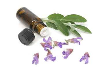 Sage flowers and essential oil bottle