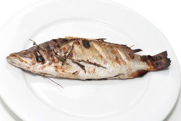 Sea bass