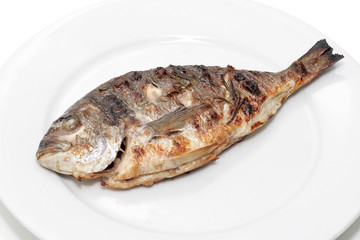 Dorado