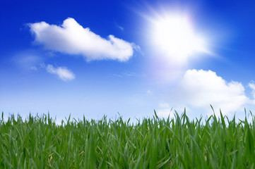 Obraz premium Etykieta 4