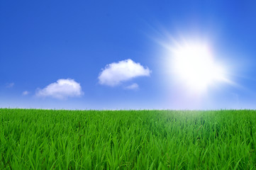 Fototapeta premium Frühling