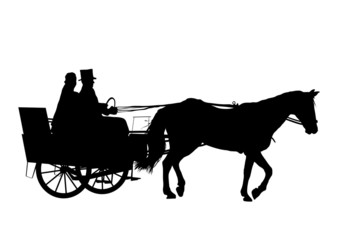 Horse and Carriage Wedding 1