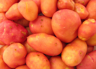 Red potatoes 