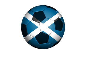 Schottland Fussball WM 2010