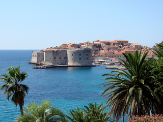 Dubrovnik view through palm trees