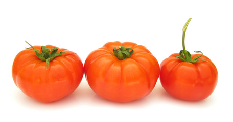 Tomatoes perfect isolated on white background