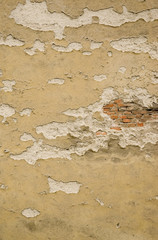 Weathered Wall  