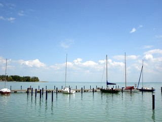 sailing boats in the marina
